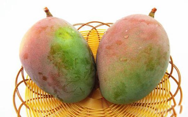 ��֦������â���Ľ��� ����֮Ϊ�ǹ���֮��