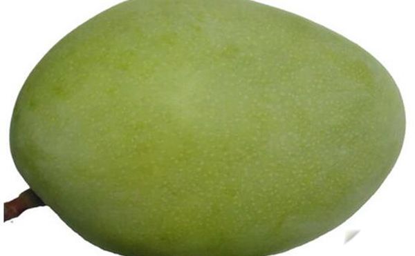 ��֦������â���Ľ��� ����֮Ϊ�ǹ���֮��