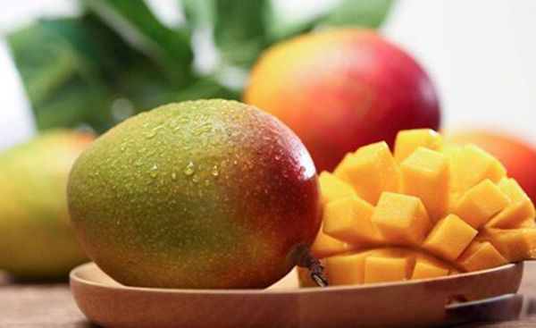 ��֦������â���Ľ��� ����֮Ϊ�ǹ���֮��