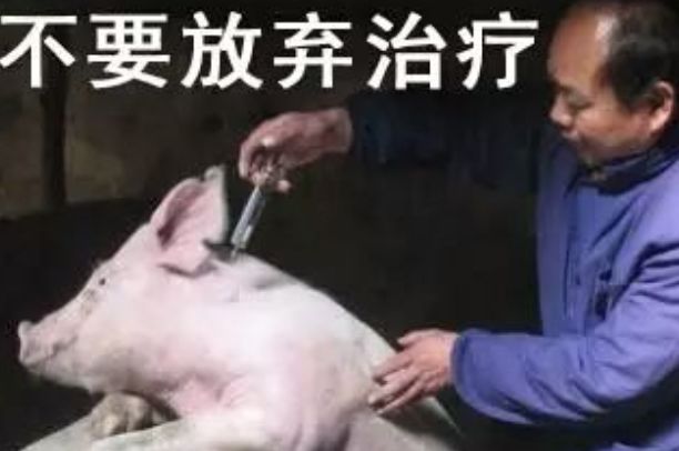 ʲô�з������� �����ŵ�Ϊʲô��������