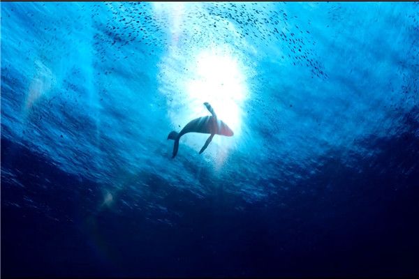 ����Ͱ�����ʲô��ϵ? �����ڰ������Ԣ�����ʲô