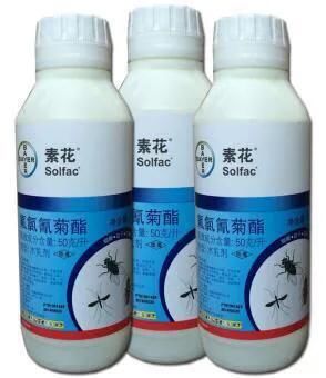 �������ô�����ڼ���� �����������ô���ܳ���