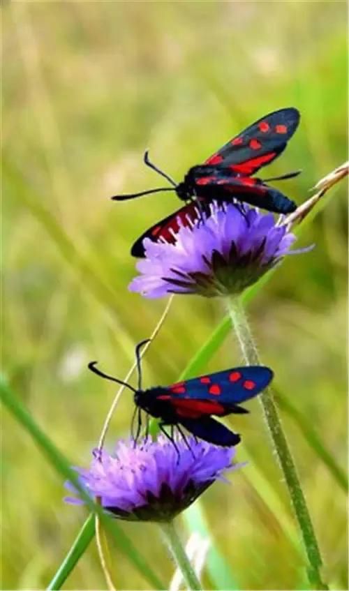 ��������Ů����ʵ�뷨 �򼸸���˼��ɵ�