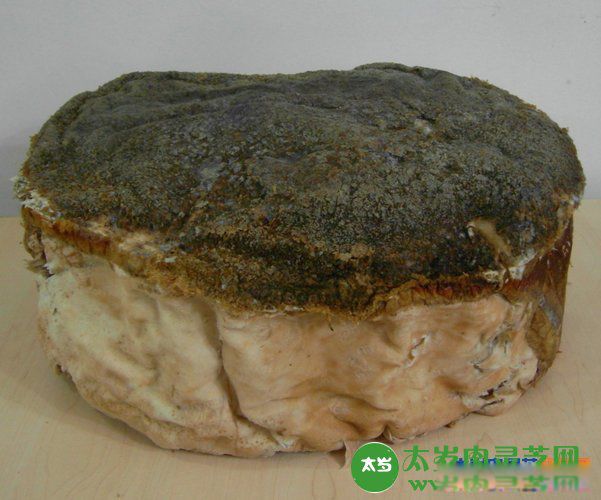 ̫����ʲô���� �������м��ر���Ϊ����֥