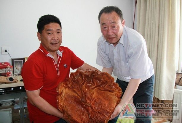 ̫����ʲô���� �������м��ر���Ϊ����֥