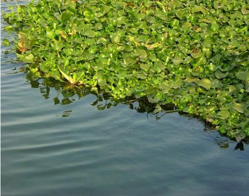 ͬ�������й�ʲôʱ���������֤�� ����û����ȷ�Ĺ涨