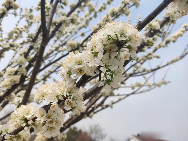 �������ȥ���� ��ʵ�����˾�ʲô��û����