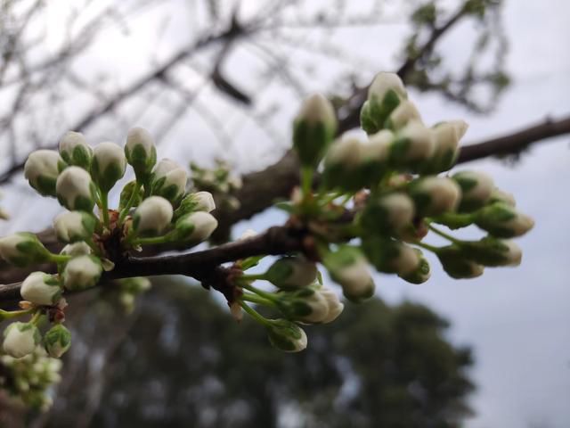 �������ȥ���� ��ʵ�����˾�ʲô��û����