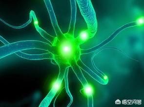 上帝为你关上一扇门就会为你打开一扇窗 就是天不绝人路