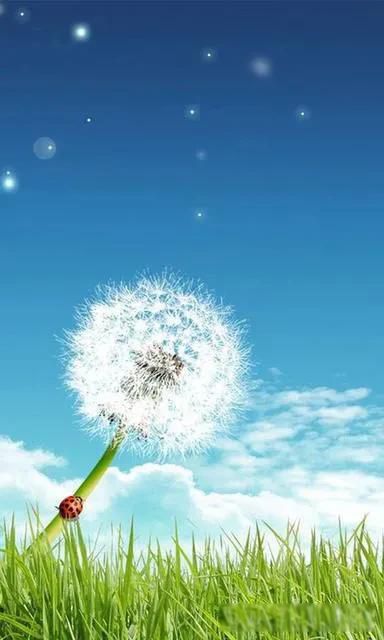 夜场女孩最终归宿 不能拒绝人家追求婚姻幸福