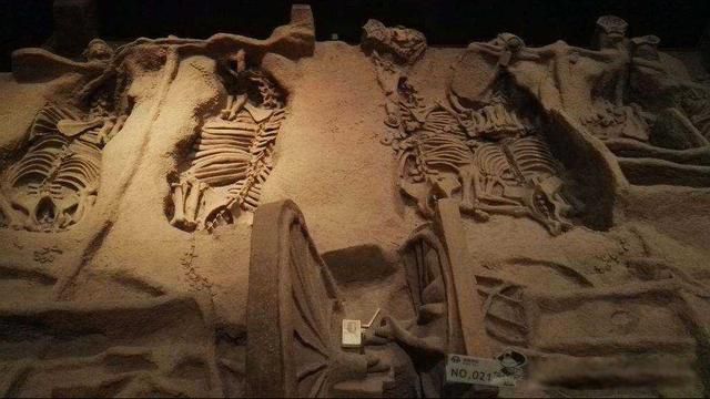 ���������ܻ��� ѳ���ƶ�ʲôʱ��ϳ�