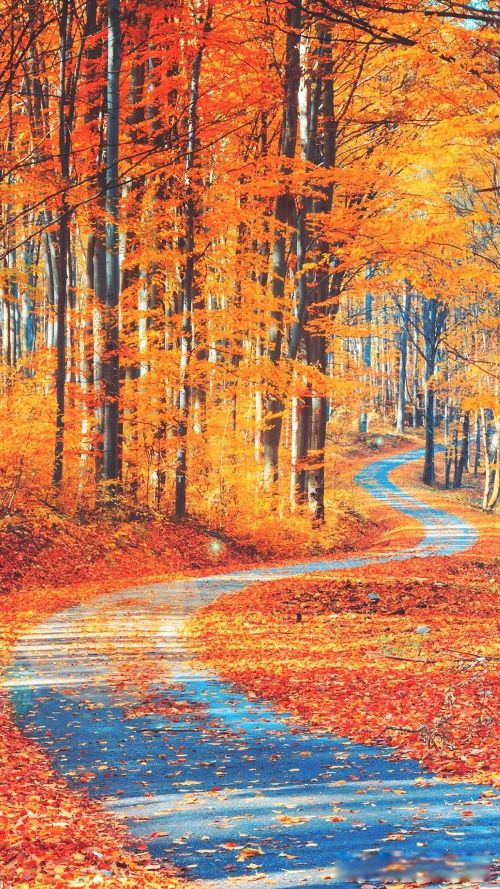 ����ħ������ħ��ʲô��˼ ���������ķ�������