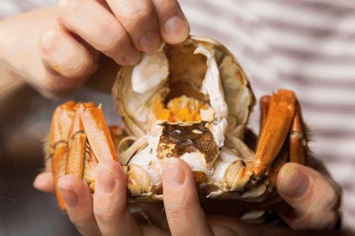 ��һ�����з������˭ Ҳ����һ�����ļ�����ʳ����