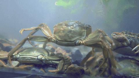 ��һ�����з������˭ Ҳ����һ�����ļ�����ʳ����