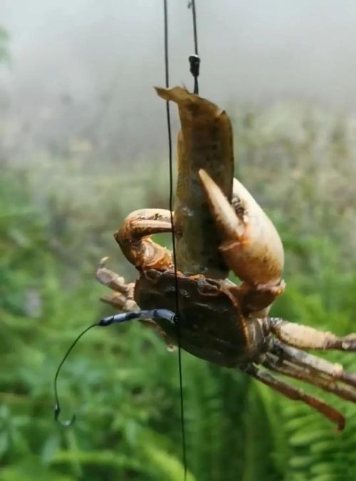 �зŮ������ ��˵�зŮ�����ú�Ư��