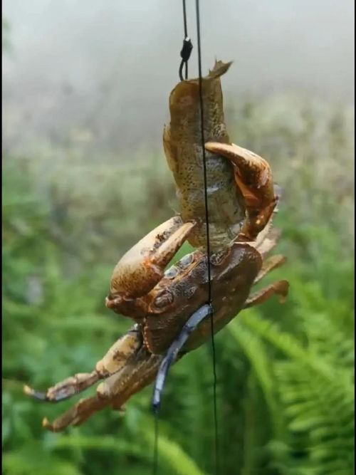 �зŮ������ ��˵�зŮ�����ú�Ư��