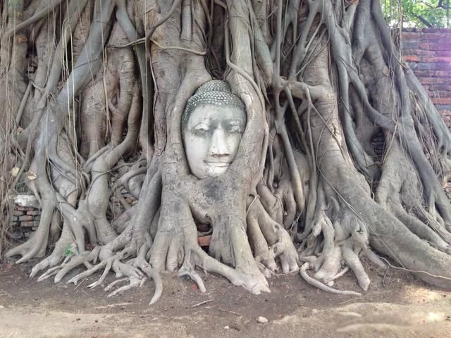 ̩�����ι��Ա�ȥ���� ������̩��ʮ�����ξ���