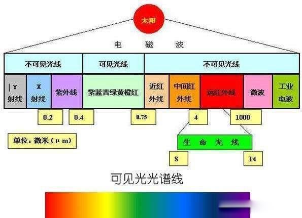 ���ɵ��ǳ����������ǳ�������˼ �������������ʶ