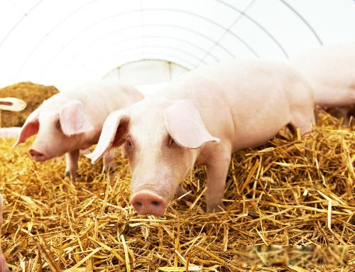 ˵Ů�����зŮ��ʲô��˼ ���ܵ��Ը���з��������