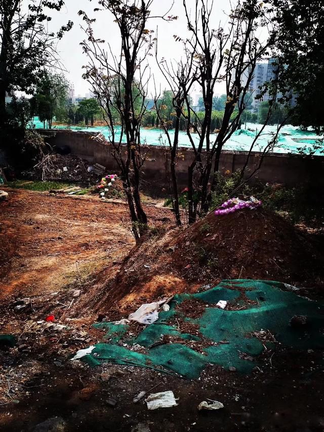 ���������ȥ������ ���ֻ�ܽ����ر���ѡ��