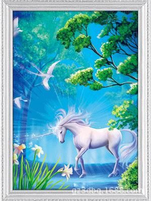 ������ʲô��˼ �й���ѡ�񡰶��ˡ�Ҫ����