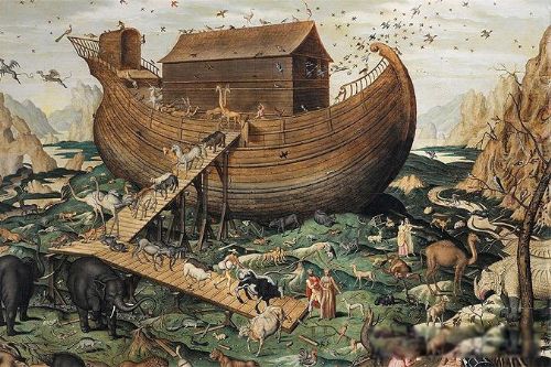 ŵ�Ƿ��۵�Ӱ ����ŵ�Ƿ��۵ļ���