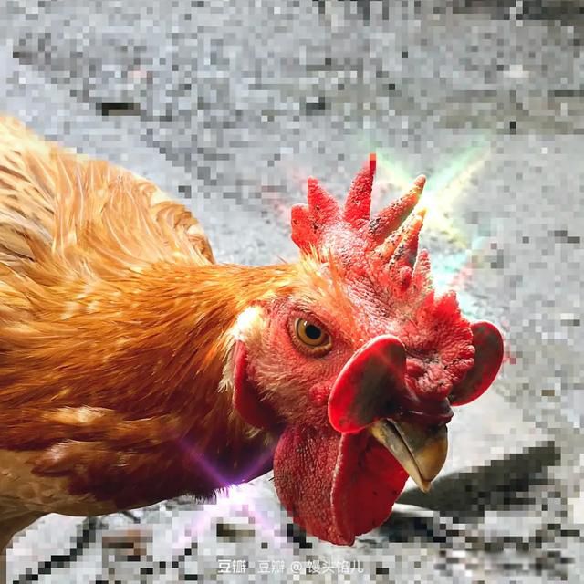 �������˿�,ĪȰ�����Ƶ���˼ ��������˼