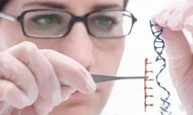 ţ�������о���ѧ������� ��������һ��������