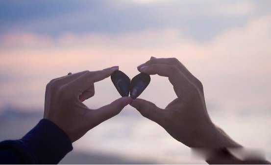 ������ʲô��˼ �����ʲô��������