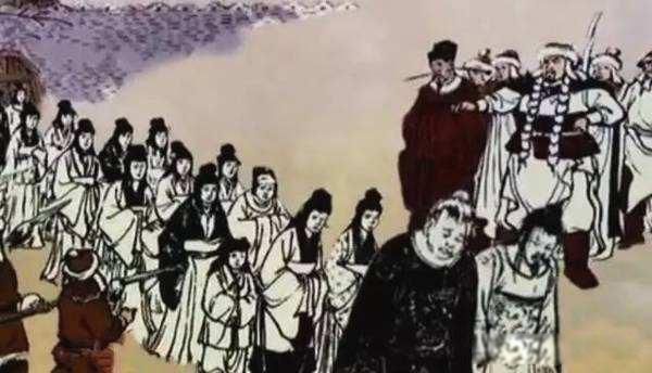 ����֮�ܳܵ�ʲô�̶� �������α�����֦��Ҷ���³�