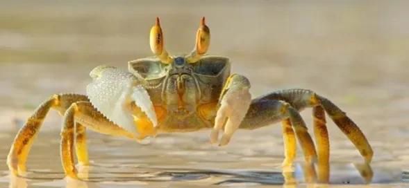 �зŮΪʲô��������������� һ��������Ǯ����������