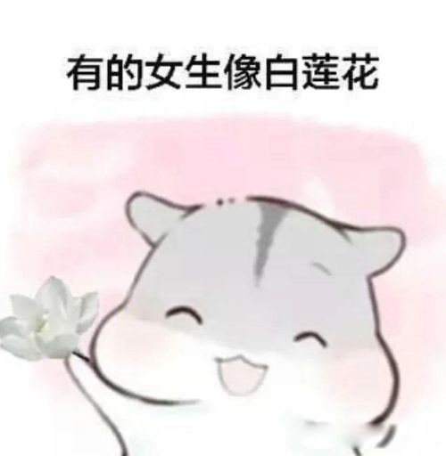 ��������ʲô��˼ ��������Ԣ�������仯