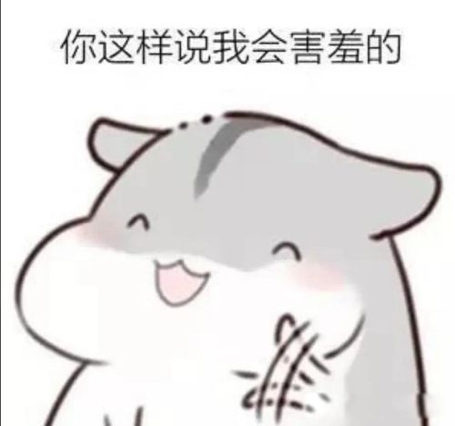 ��������ʲô��˼ ��������Ԣ�������仯