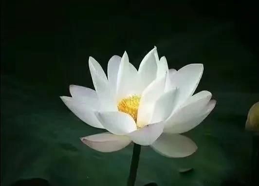 ��������ʲô��˼ ��������Ԣ�������仯