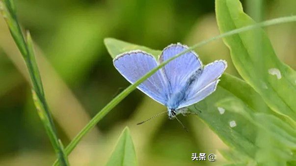 Ƥ��ǧƪһ����Ȥ����������һ �ÿ���Ƥ�ұȱȽ���