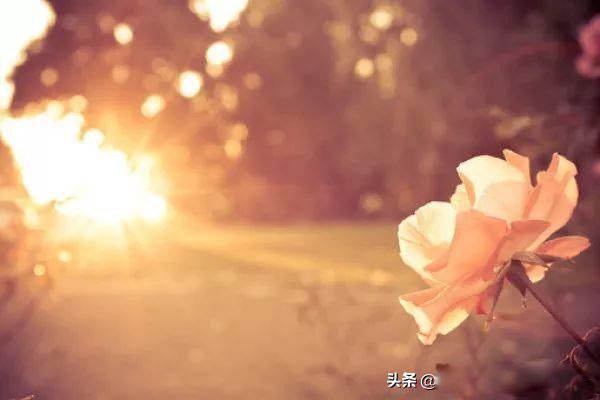 Ƥ��ǧƪһ����Ȥ����������һ �ÿ���Ƥ�ұȱȽ���