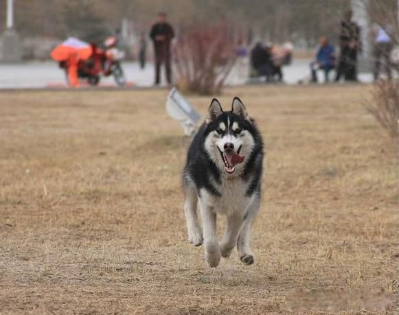 ������Ϊʲô�����ӽ���� �������᲻�μ��Ǻ�������