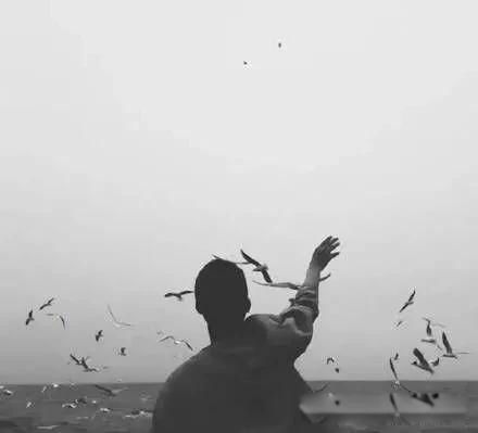 ���е�ʮ���׼ �������յ���Į��˽