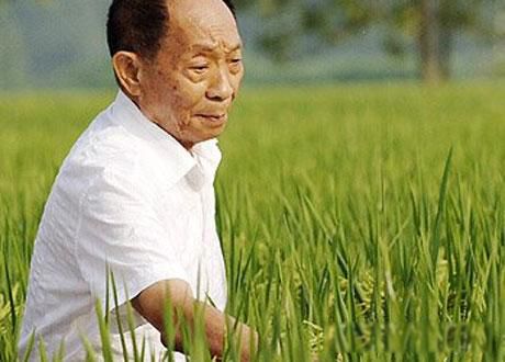 ���������۵ı��۹۵� ���������������õı�׼