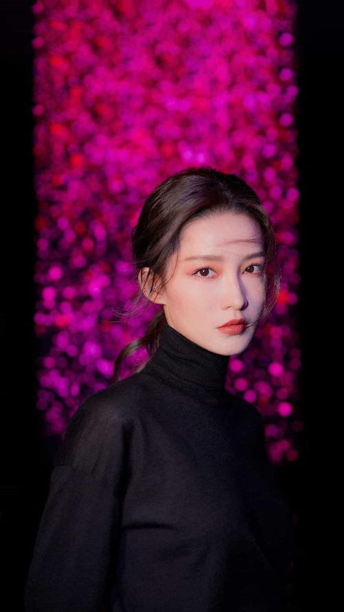 �����ʲô��˼�� �޷������Ҫ���ü���׼��