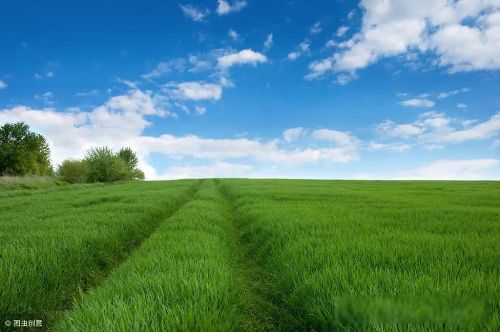 ��Ȥ����������һ,�ÿ���Ƥ��ǧƪһ�� ����һ���������Ѿ�