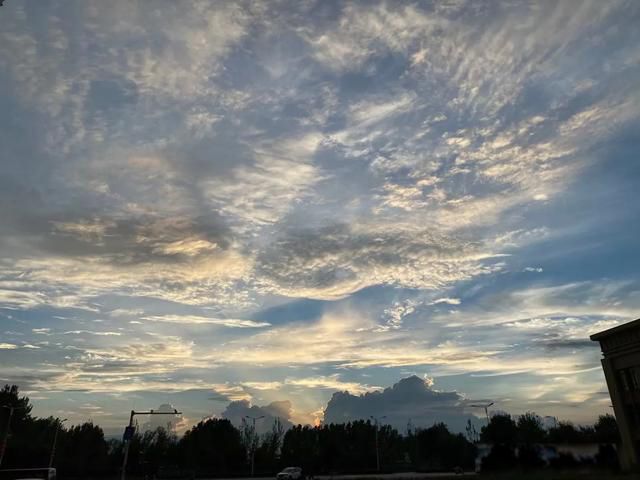 �������ҵ����������� Ψ�������Ψ������𰸲�һ��