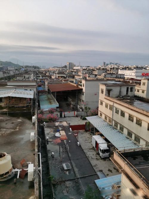 ���˲���Ů�˲��� ʲô�������˲�����Ů��