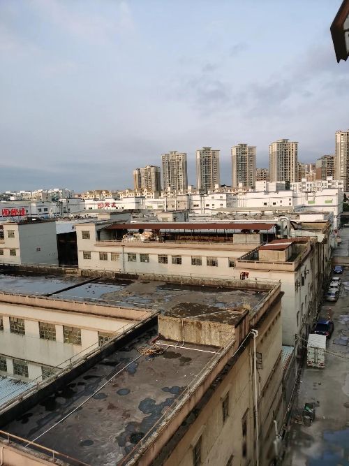 ���˲���Ů�˲��� ʲô�������˲�����Ů��