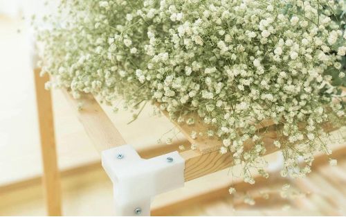 ���˲���Ů�˲��� ʲô�������˲�����Ů��