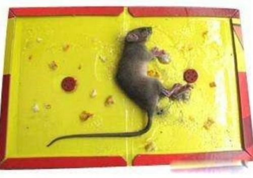 ������������ô�ܳ������� ��ȡ�����ͻ�ѧ���η���