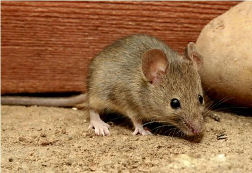 ������������ô�ܳ������� ��ȡ�����ͻ�ѧ���η���