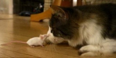 ������������ô�ܳ������� ��ȡ�����ͻ�ѧ���η���