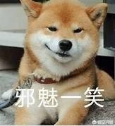 ����app���а�ǰʮ�� ĳЩ�����������̫����