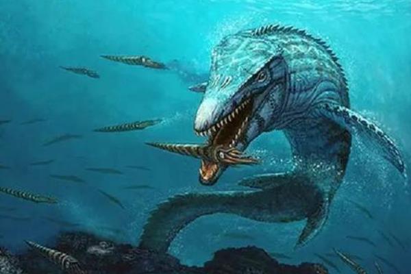 �������Ͳ�����ʲô���� ������vs�����ĸ�����˭ǿһЩ